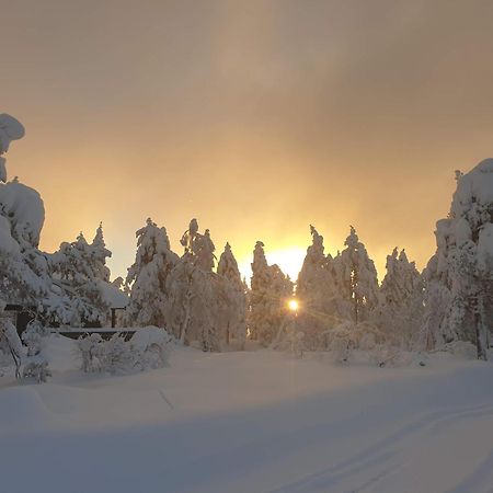 Ro I Sjelen. Hytte Til Leie Pa Skrim. Kongsberg ภายนอก รูปภาพ
