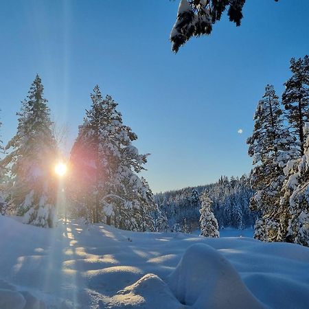 Ro I Sjelen. Hytte Til Leie Pa Skrim. Kongsberg ภายนอก รูปภาพ