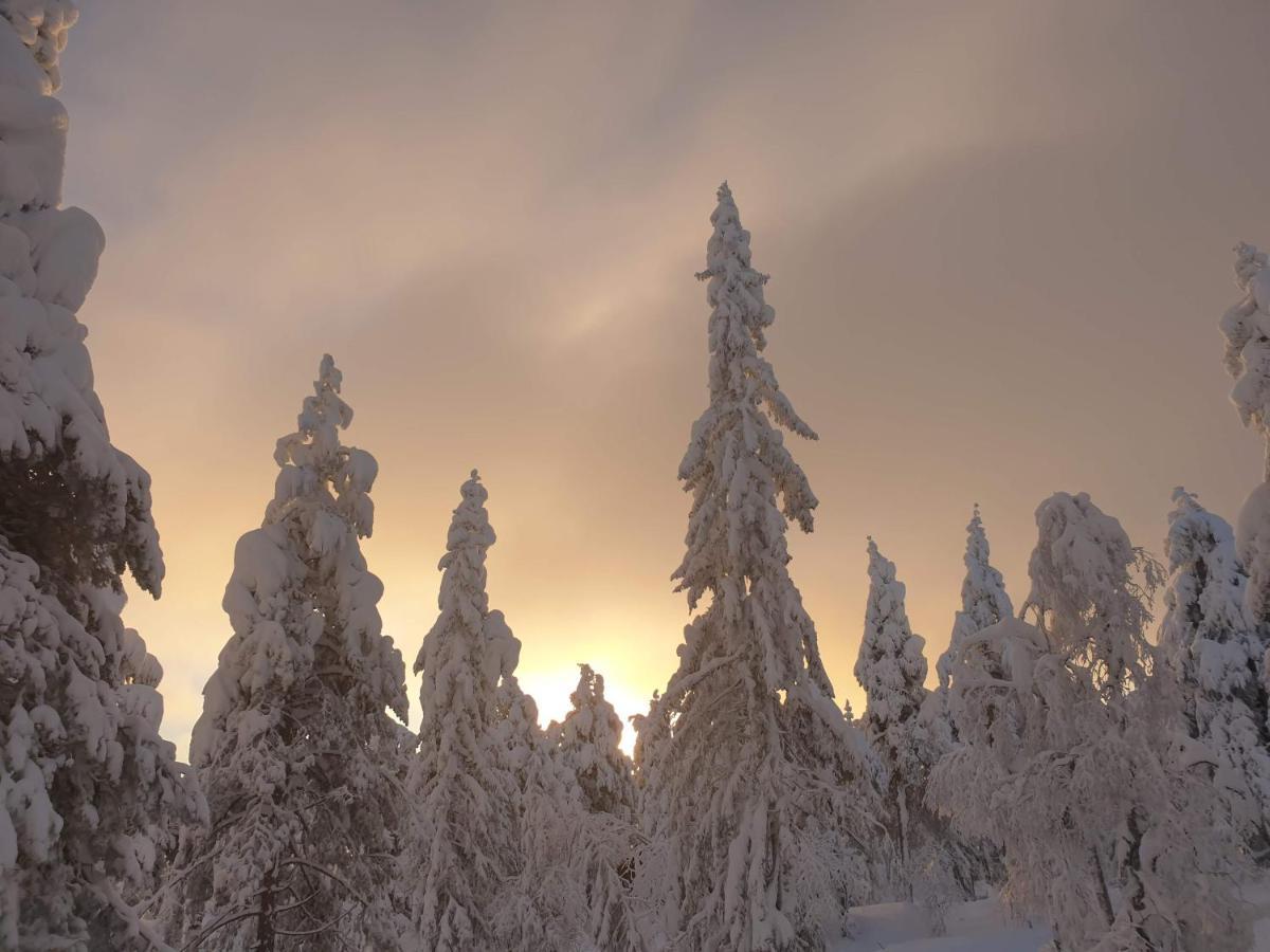 Ro I Sjelen. Hytte Til Leie Pa Skrim. Kongsberg ภายนอก รูปภาพ