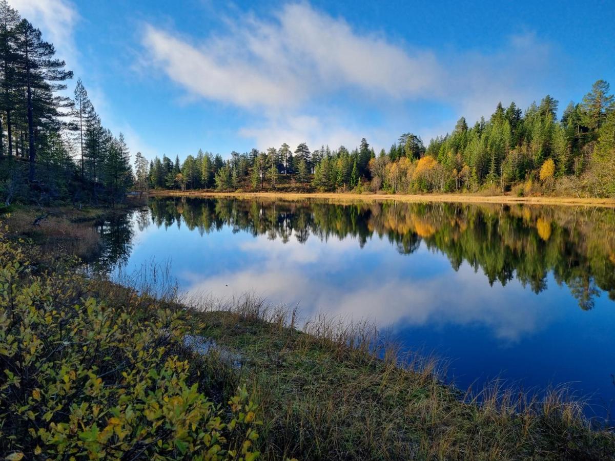 Ro I Sjelen. Hytte Til Leie Pa Skrim. Kongsberg ภายนอก รูปภาพ