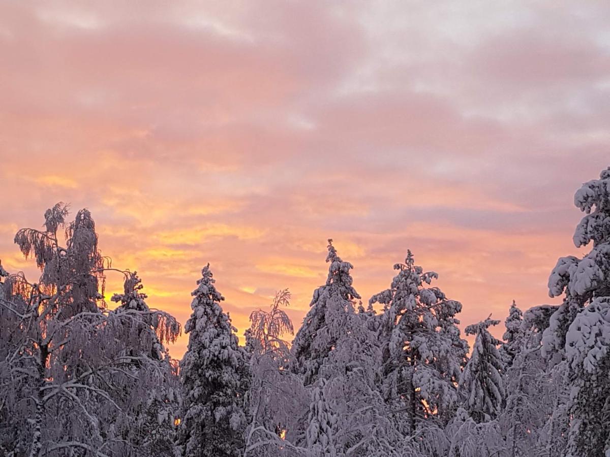 Ro I Sjelen. Hytte Til Leie Pa Skrim. Kongsberg ภายนอก รูปภาพ