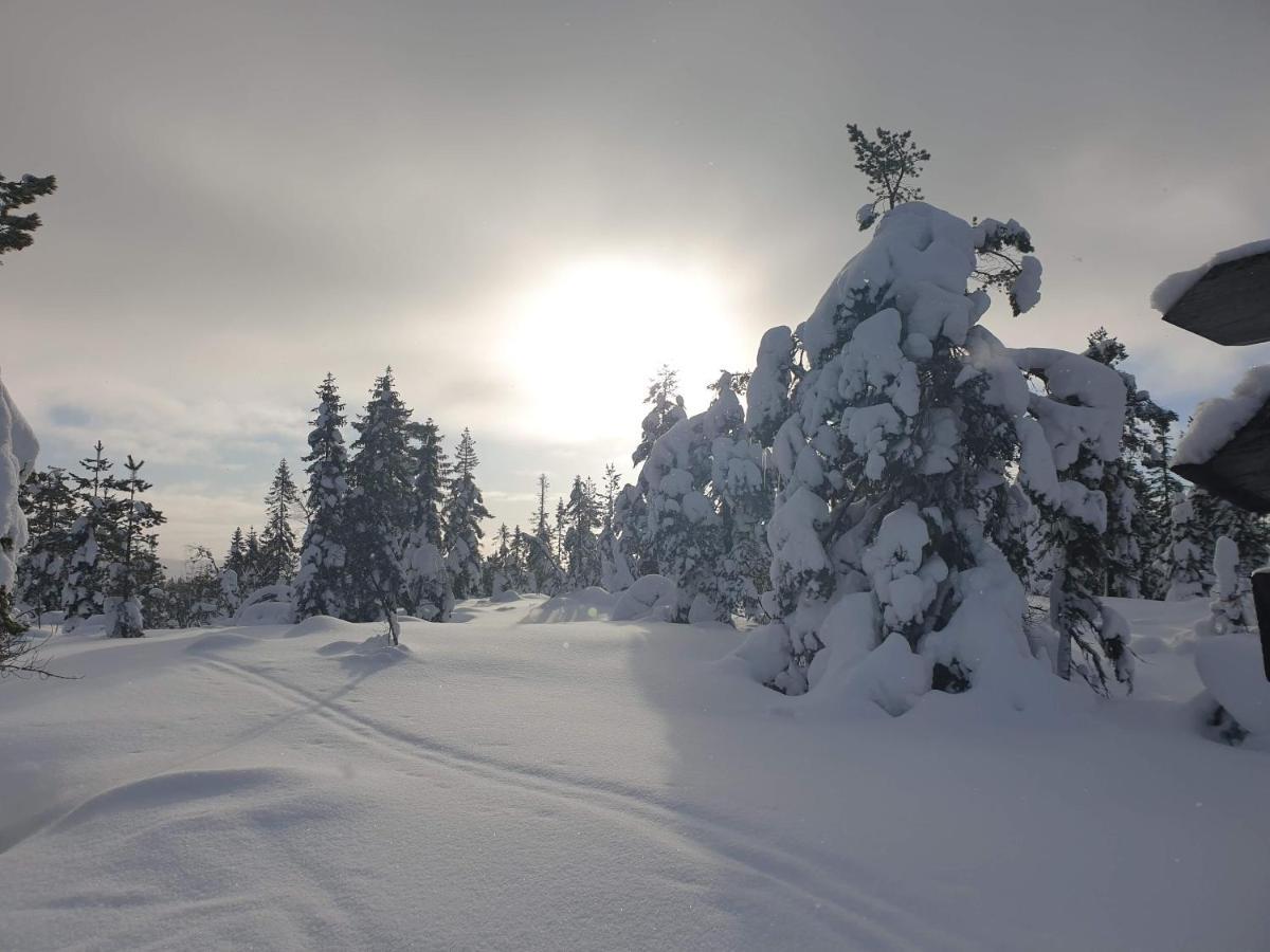 Ro I Sjelen. Hytte Til Leie Pa Skrim. Kongsberg ภายนอก รูปภาพ