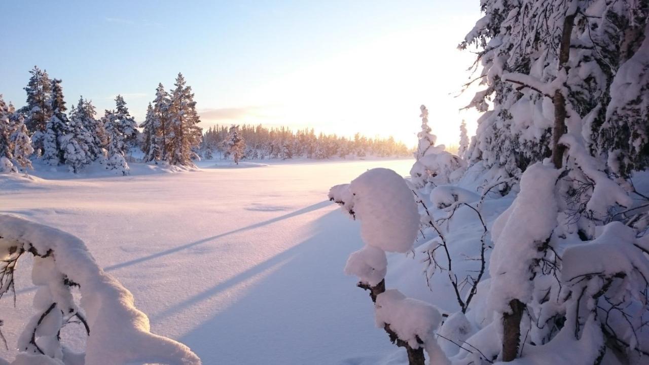 Ro I Sjelen. Hytte Til Leie Pa Skrim. Kongsberg ภายนอก รูปภาพ
