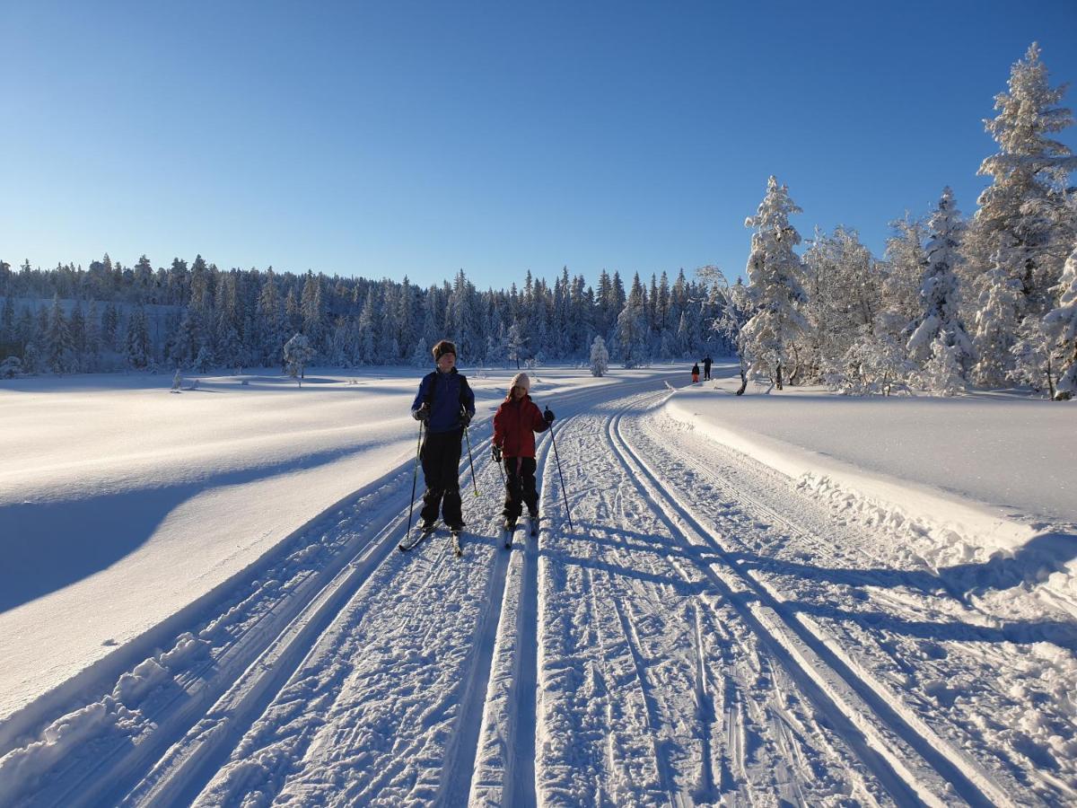 Ro I Sjelen. Hytte Til Leie Pa Skrim. Kongsberg ภายนอก รูปภาพ