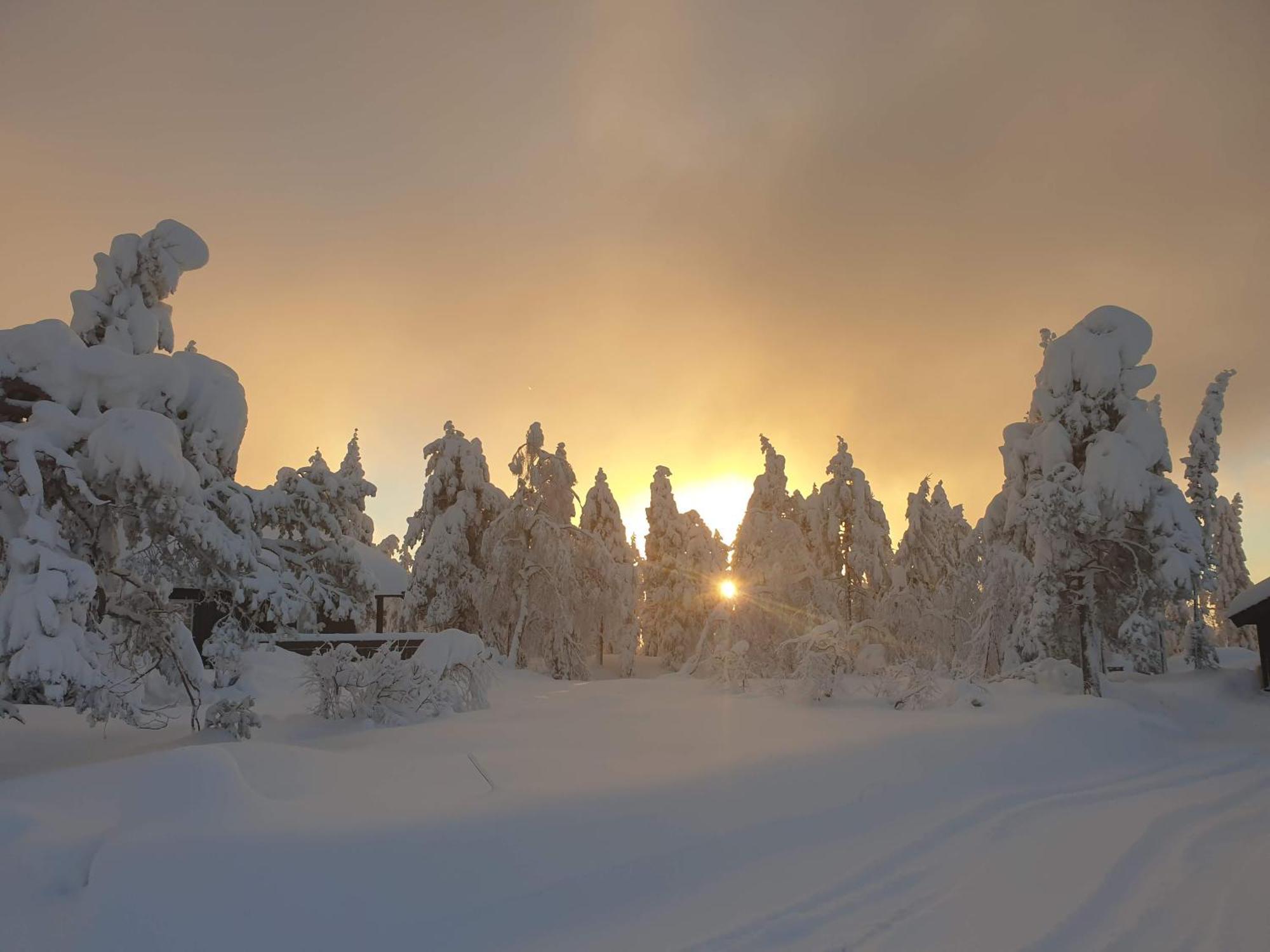Ro I Sjelen. Hytte Til Leie Pa Skrim. Kongsberg ภายนอก รูปภาพ