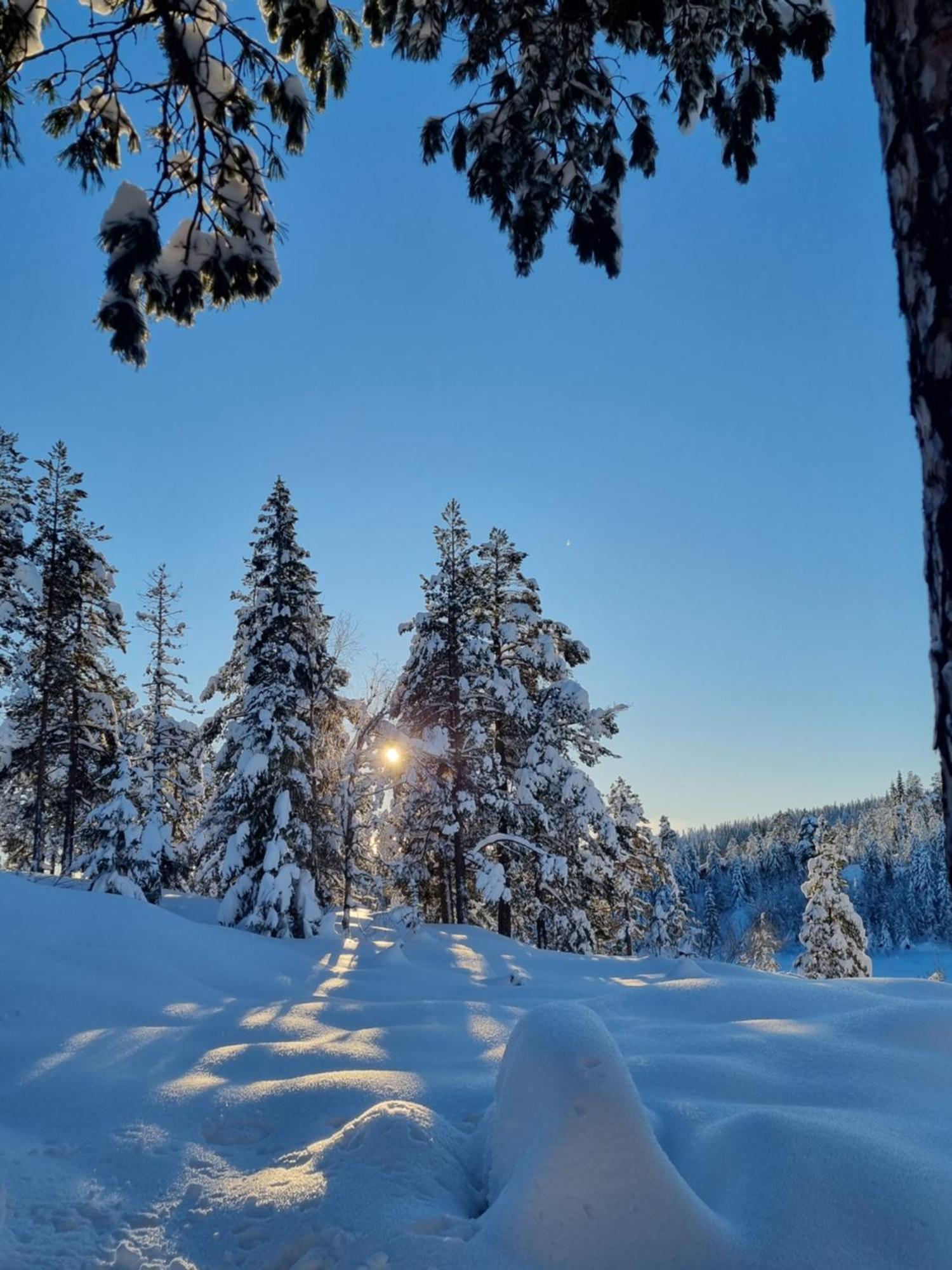 Ro I Sjelen. Hytte Til Leie Pa Skrim. Kongsberg ภายนอก รูปภาพ
