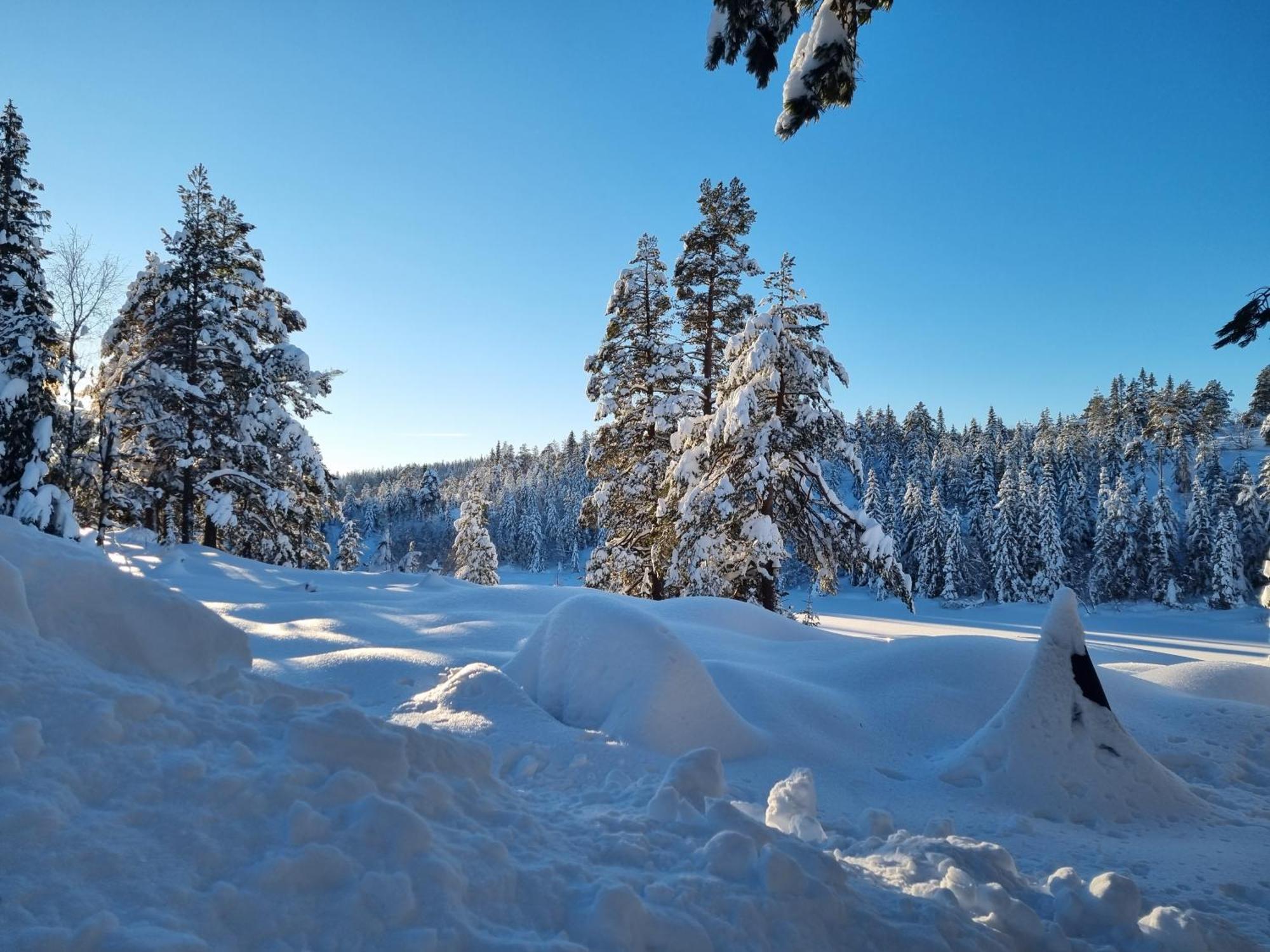 Ro I Sjelen. Hytte Til Leie Pa Skrim. Kongsberg ภายนอก รูปภาพ