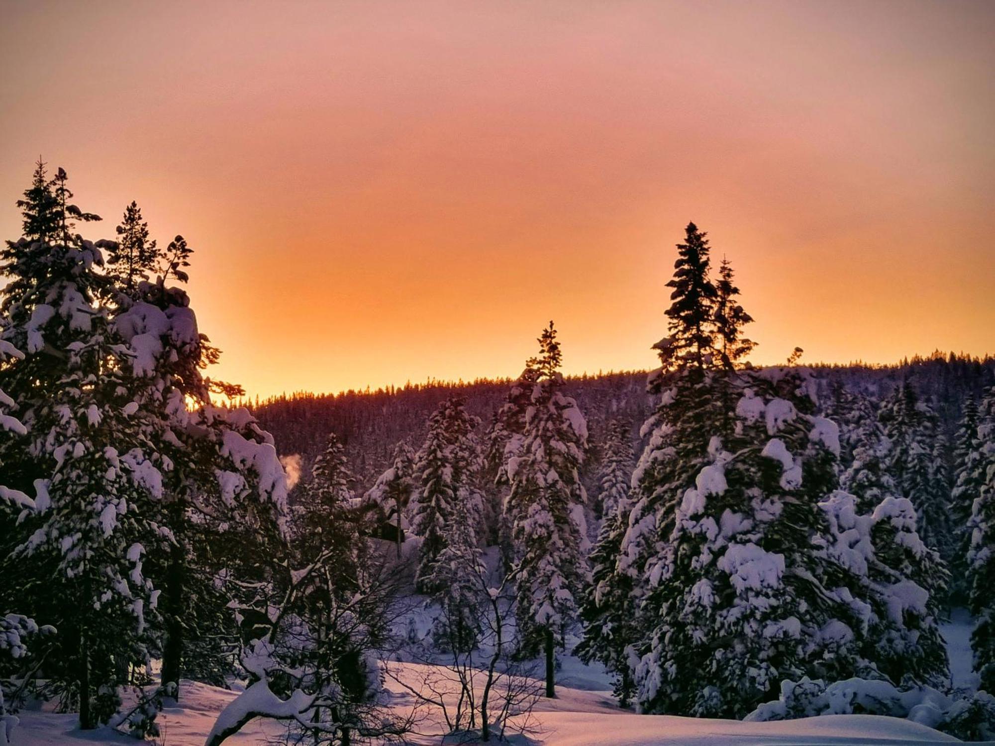 Ro I Sjelen. Hytte Til Leie Pa Skrim. Kongsberg ภายนอก รูปภาพ