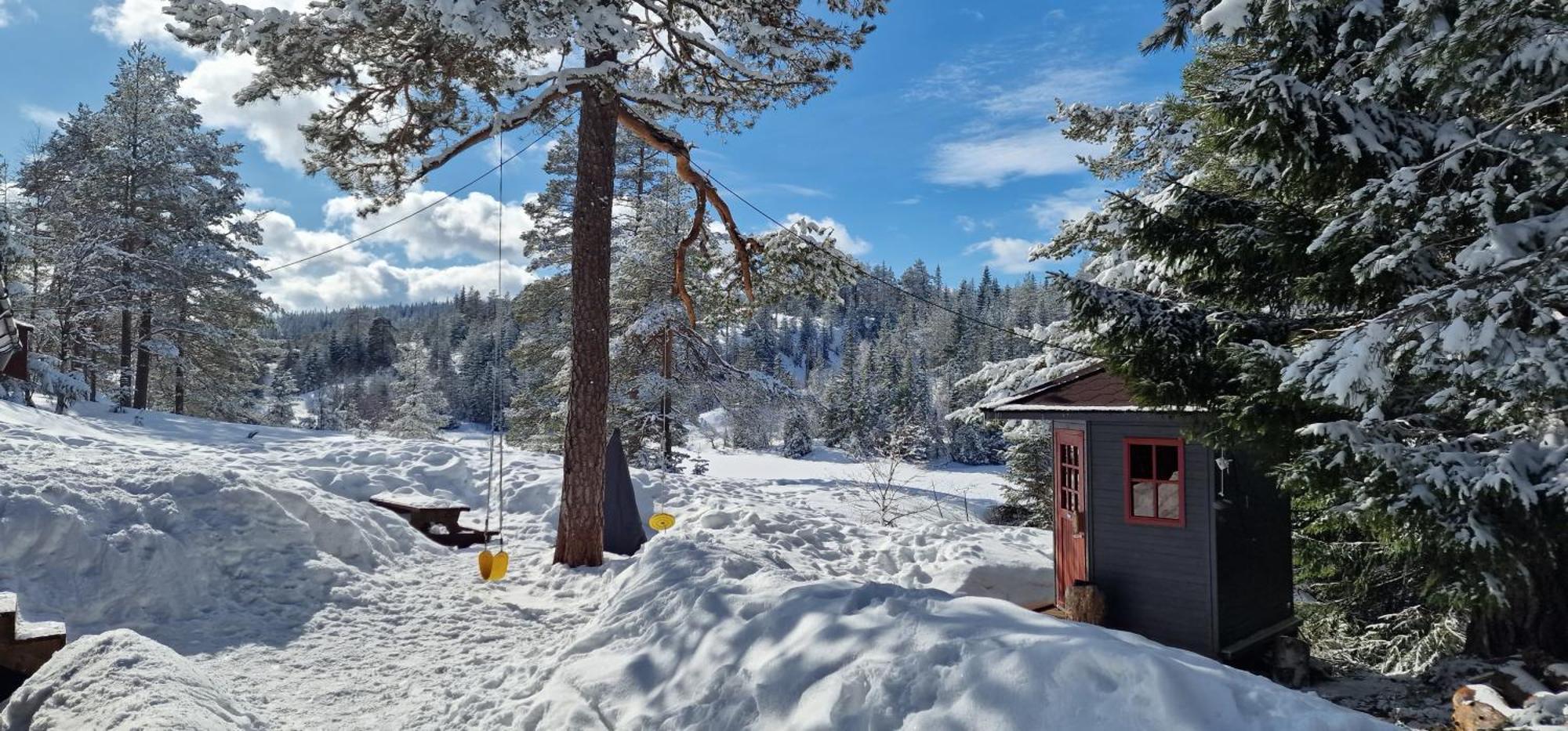 Ro I Sjelen. Hytte Til Leie Pa Skrim. Kongsberg ภายนอก รูปภาพ
