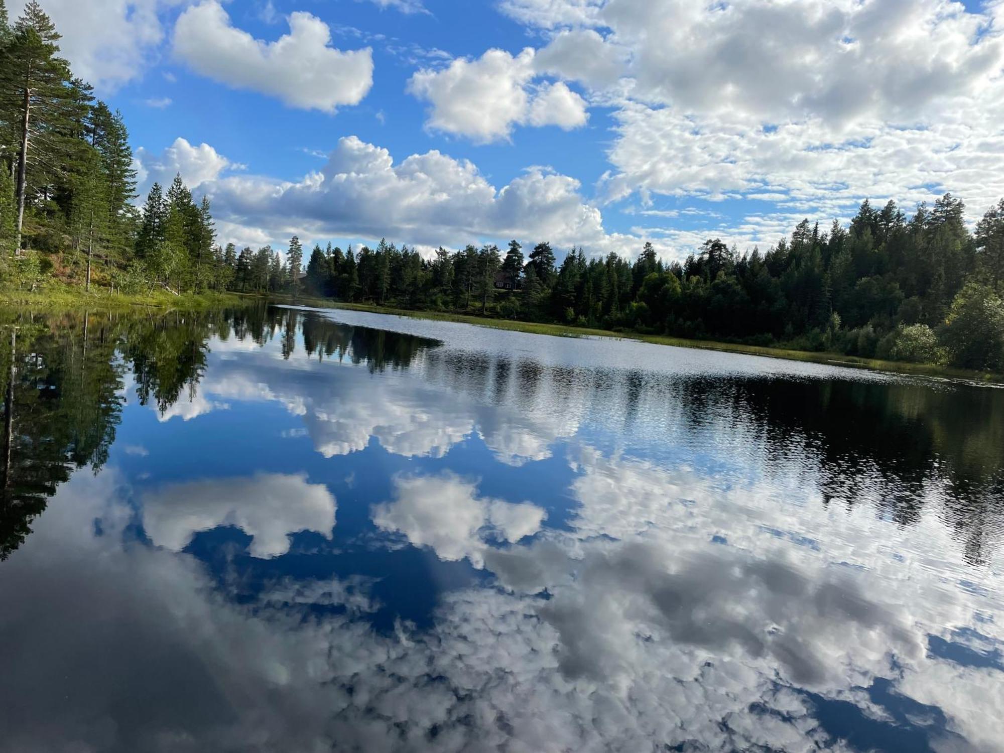 Ro I Sjelen. Hytte Til Leie Pa Skrim. Kongsberg ภายนอก รูปภาพ