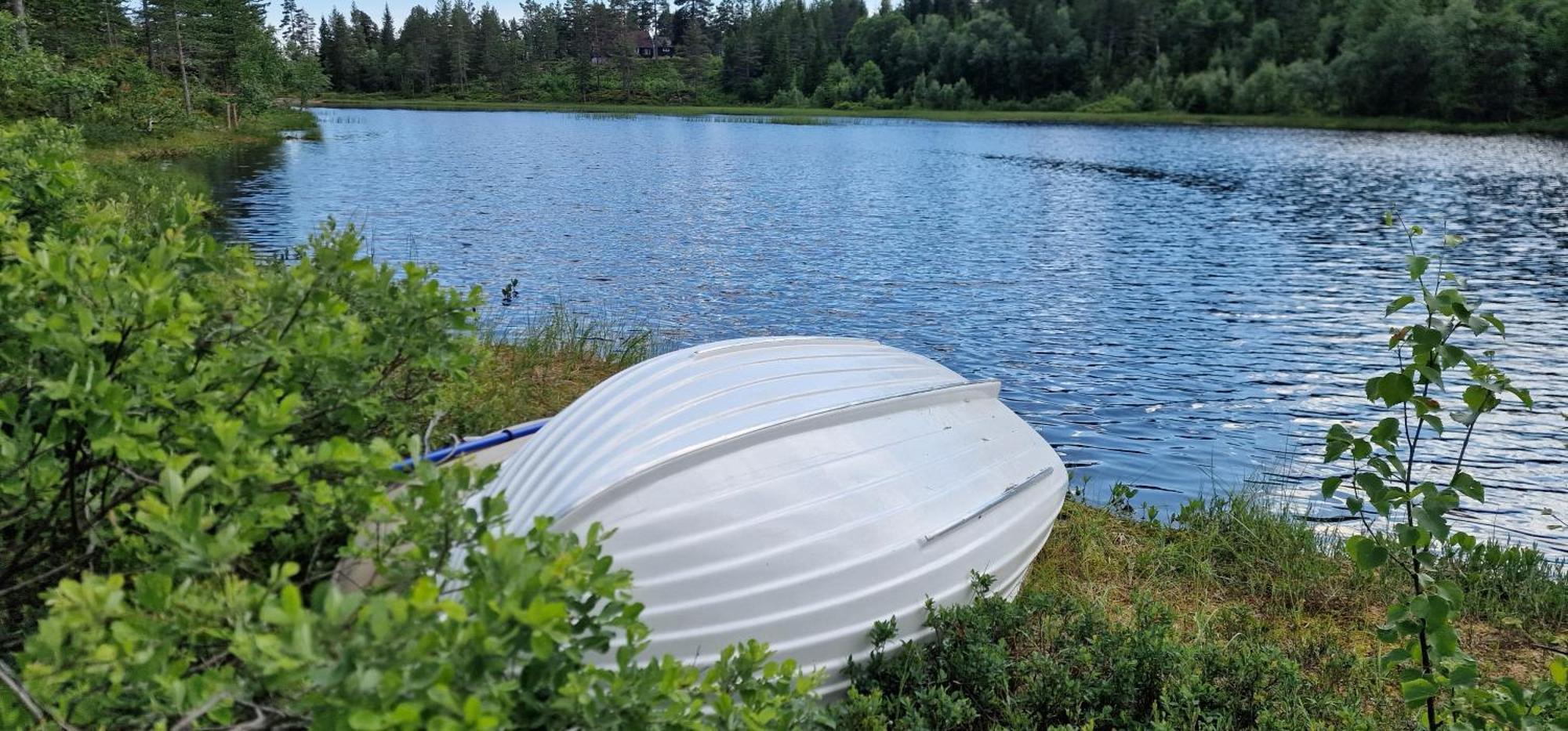 Ro I Sjelen. Hytte Til Leie Pa Skrim. Kongsberg ภายนอก รูปภาพ